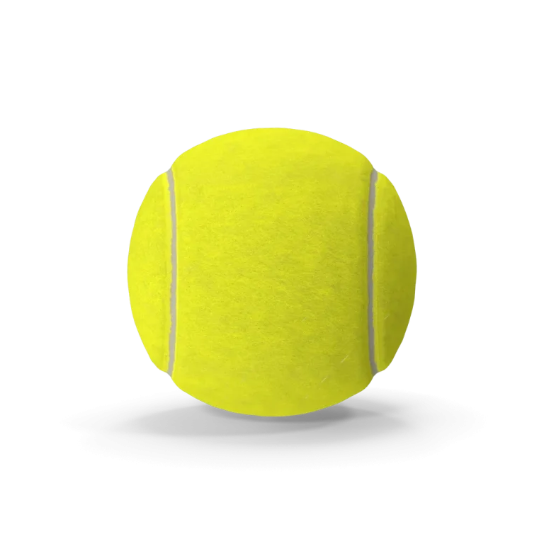 Rushmode Tennis Ball Set