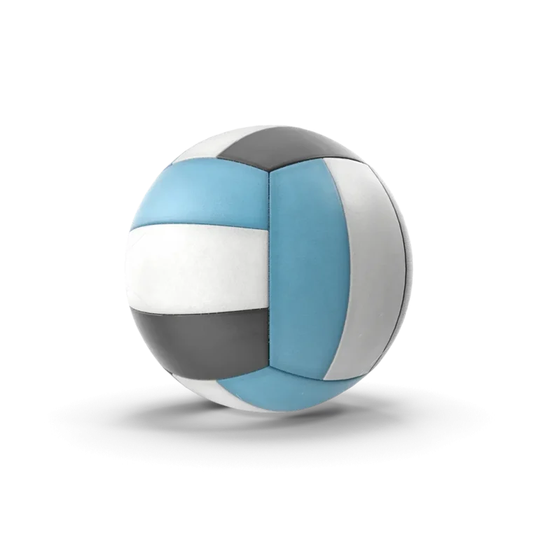 Rushmode Volleyball Ball