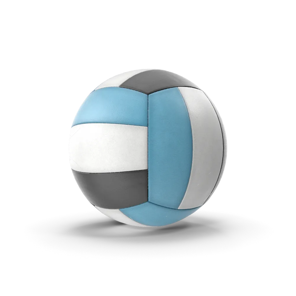 Rushmode Volleyball Ball