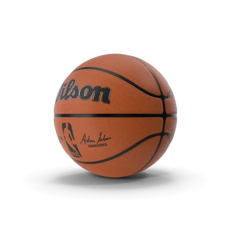 Rushmode Indoor Outdoor Basketball