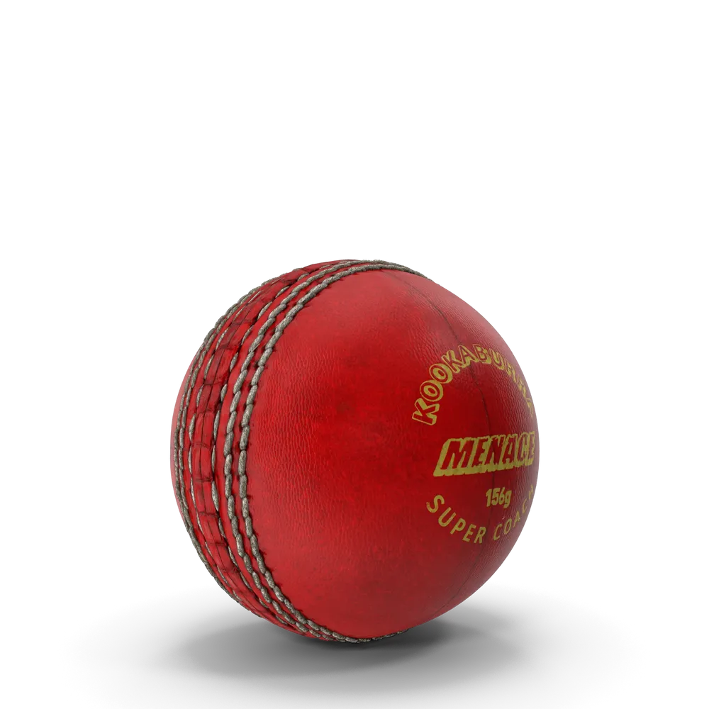 Rushmode Cricket Practice Ball