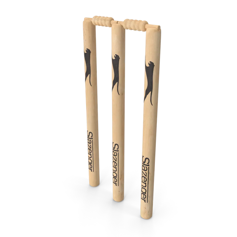Rushmode Cricket Wicket Stump Set