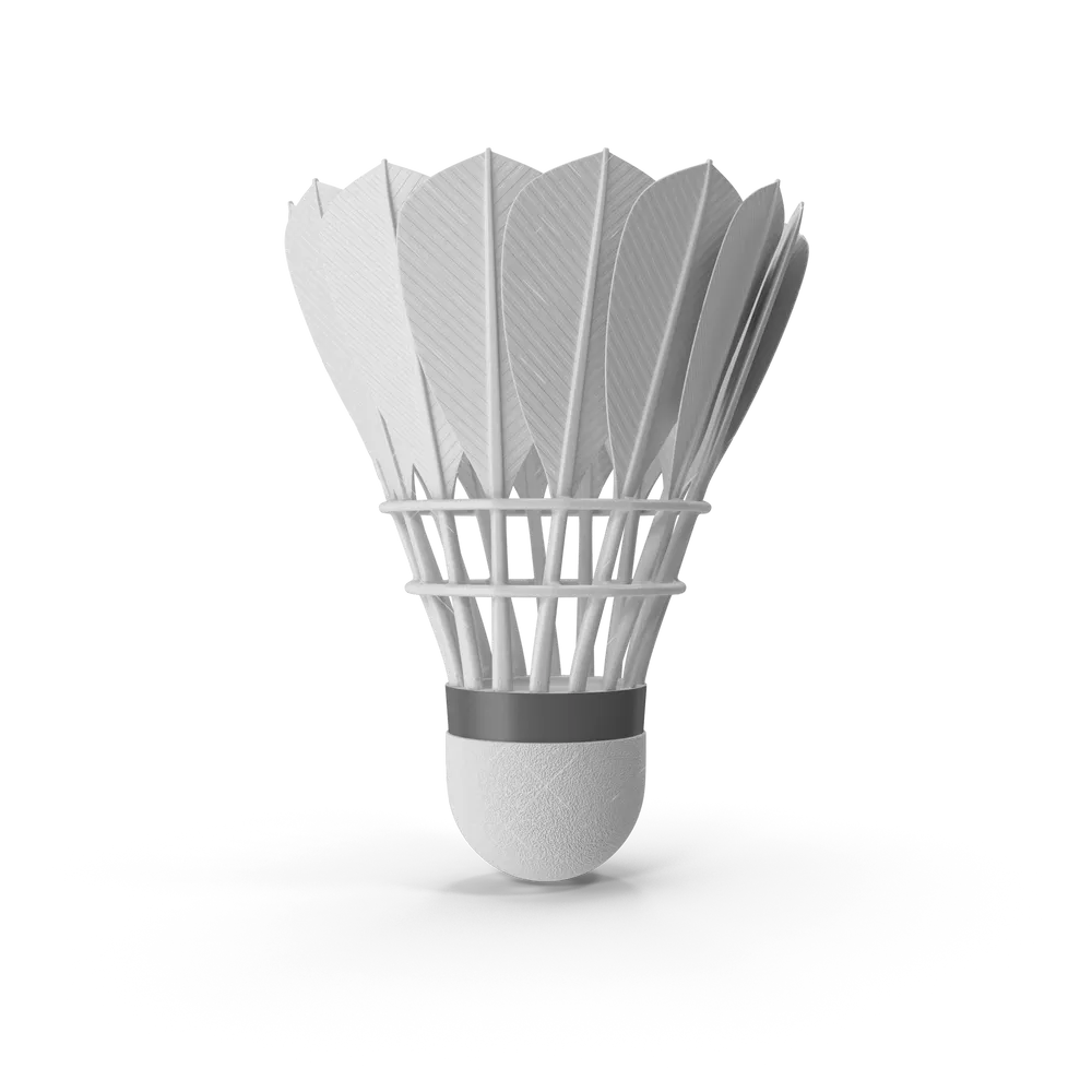 Rushmode Feather Shuttlecock Set